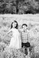Davis-brownsravine-7