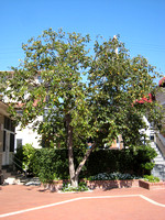 Vizcaya