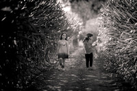 pumpkinfarm-3